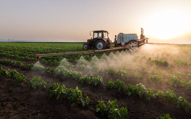 Insect Control in Westlake, TX