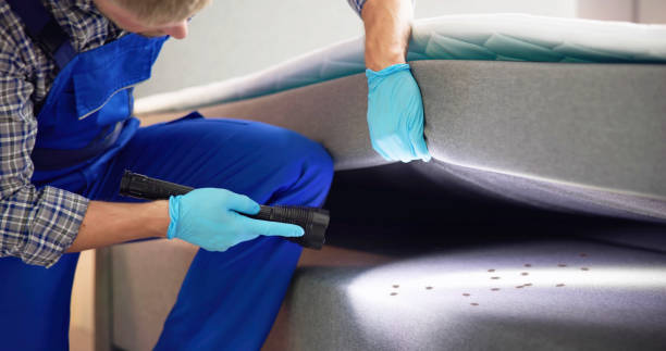 Best Exterminator Services  in Westlake, TX