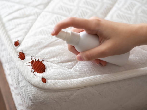 Best Residential Pest Control  in Westlake, TX